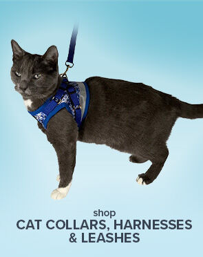 Cat Collars, Harnesses & Leashes